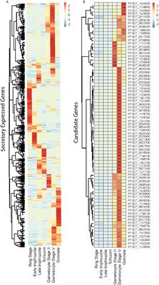 Studies of the Parasite-Midgut Interaction Reveal Plasmodium Proteins Important for Malaria Transmission to Mosquitoes